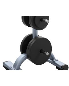 Precor Weight Plate Tree DISCOVERY