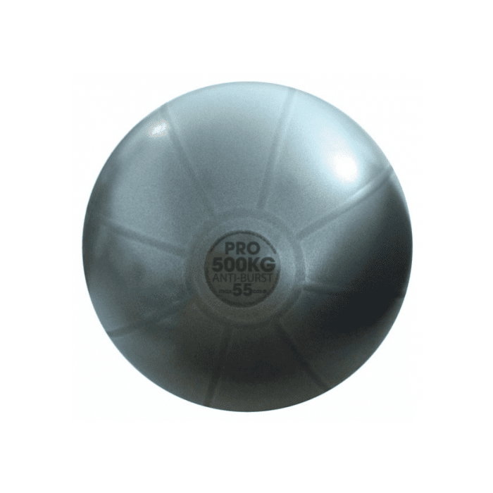TMG Studio Pro 500kg Swiss Ball